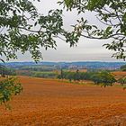 Vue sur la vallée de la Baïse près de chez moi