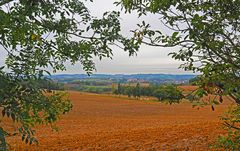 Vue sur la vallée de la Baïse près de chez moi