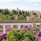 vue sur l'Alcazaba depuis le Generalife