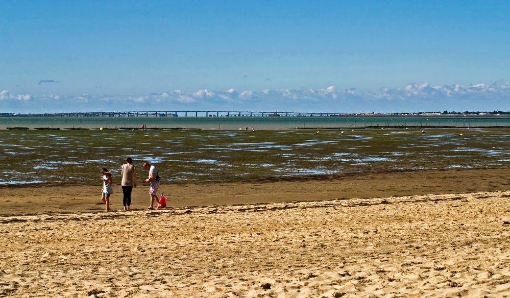 Vue sur le Bassin de marennes-Oléron  --  Sicht auf das Marennes-Oléron Becken 