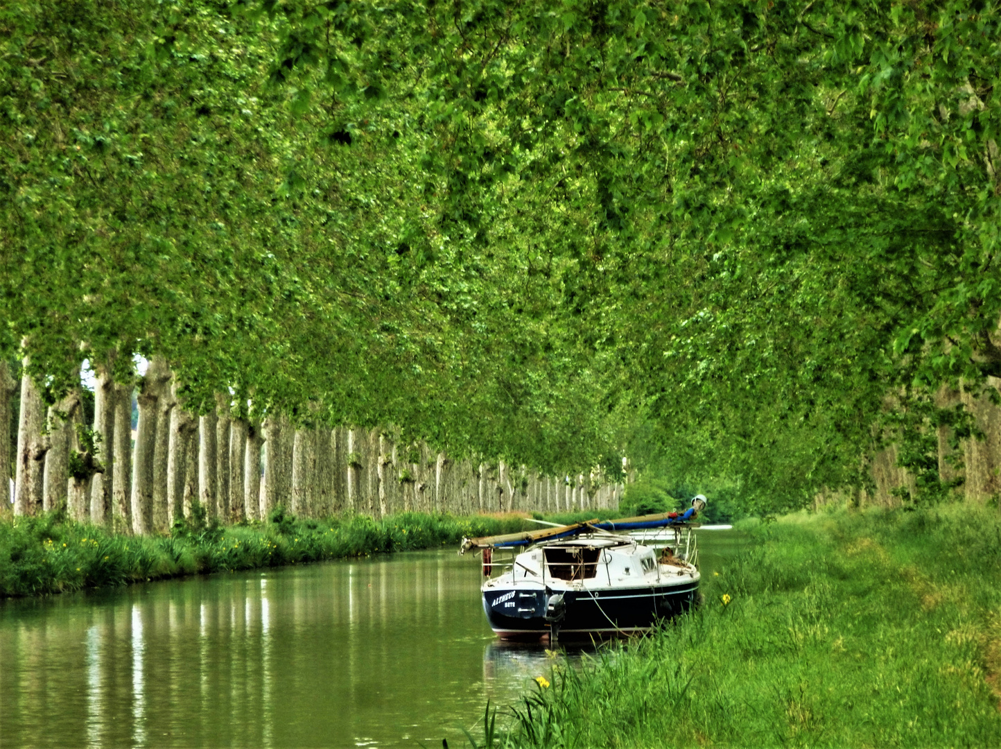 Vue sur le Canal du Midi