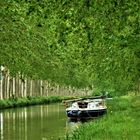 Vue sur le Canal du Midi