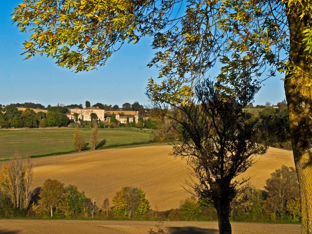 Vue sur le Château de Peyriac (XVIIème) - Condom -