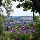 Vue sur le Condomois