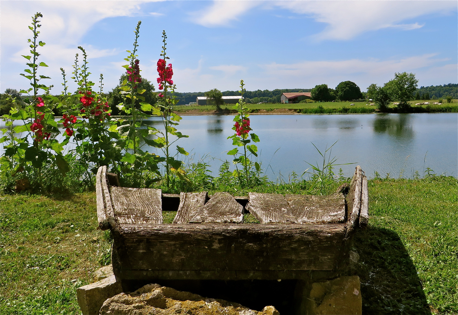 ... vue sur le Doubs !!!...