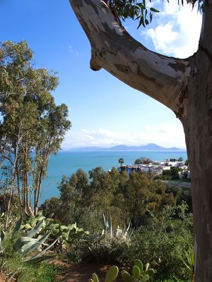 Vue sur le Golfe de Tunis depuis Sidi Bou Saïd