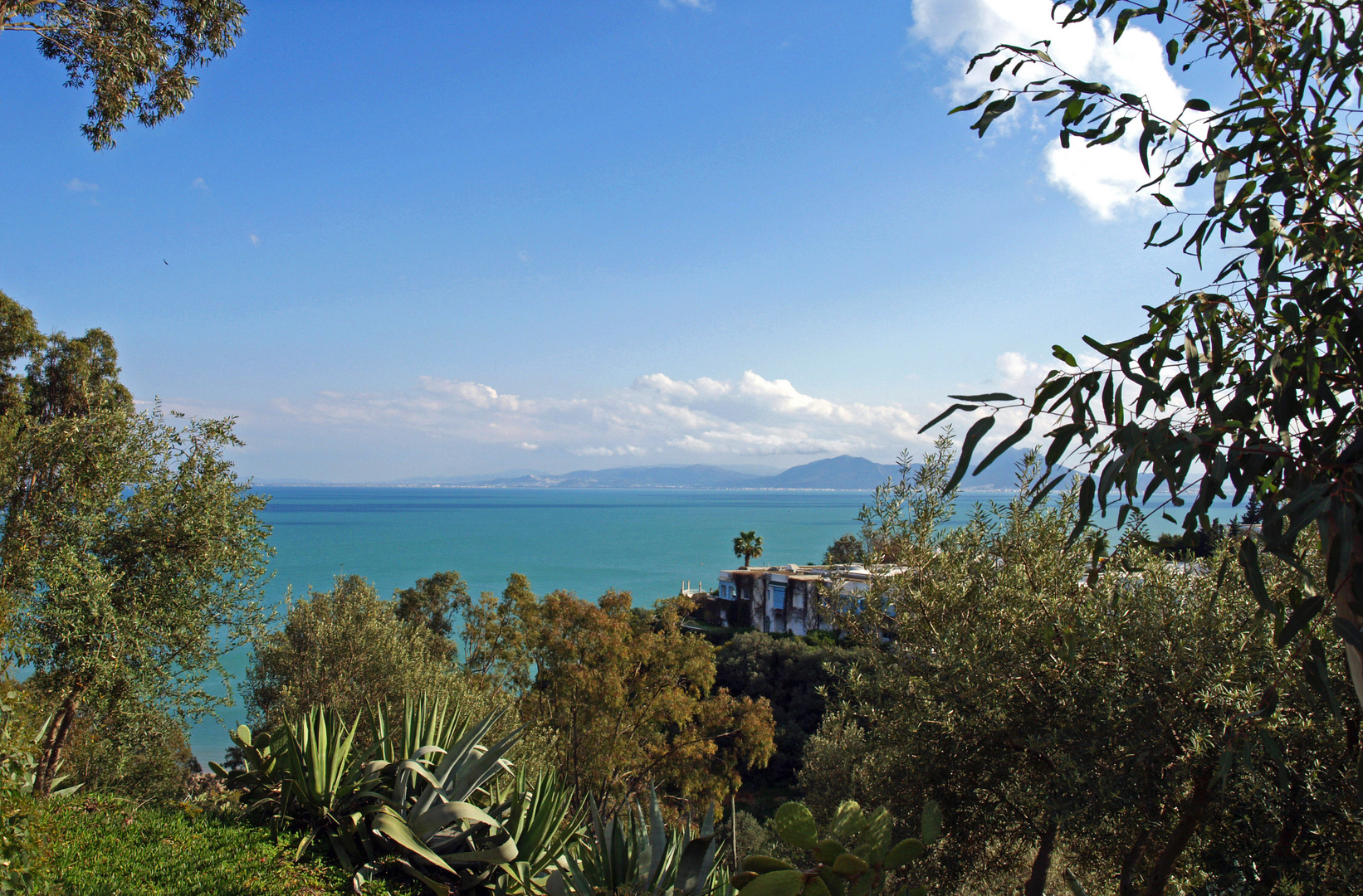 Vue sur le Golfe de Tunis depuis Sidi Bou Saïd