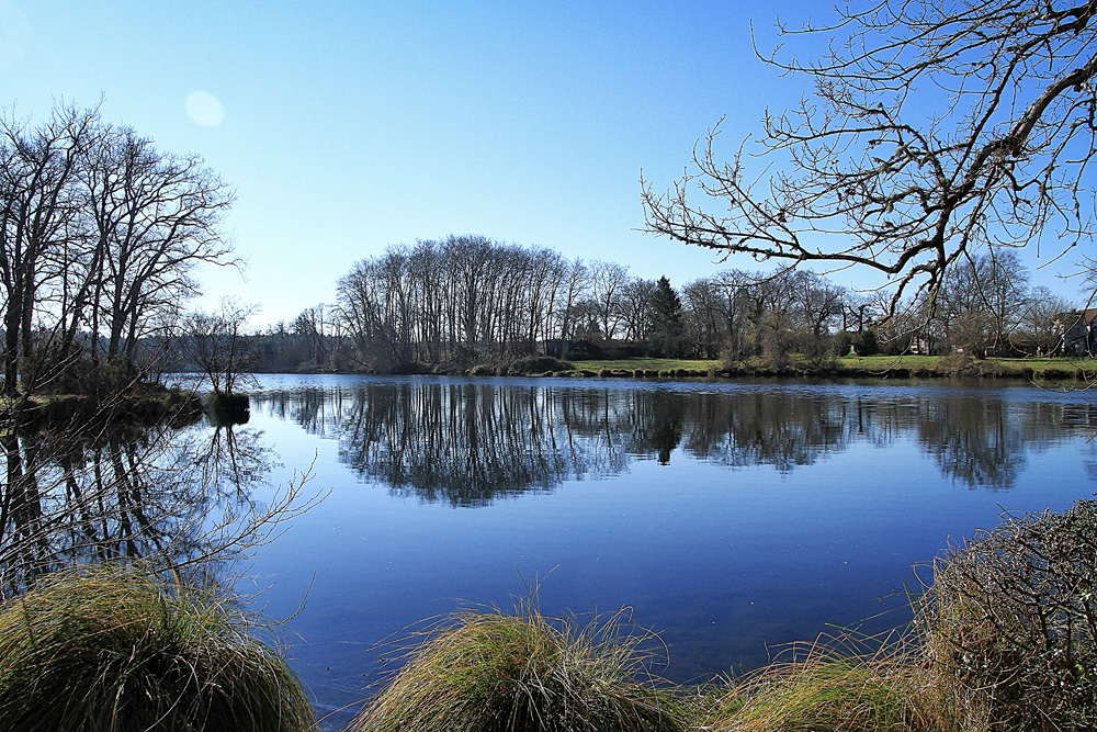 Vue sur le lac !