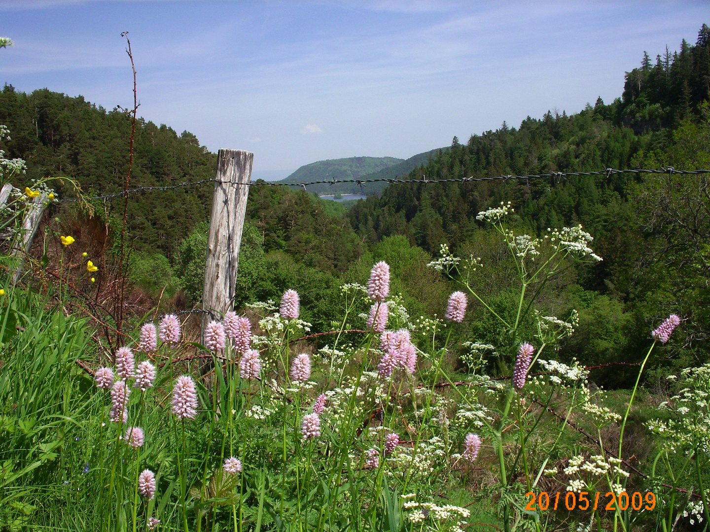 vue sur le lac Chambon col de la Croix Morand