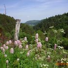 vue sur le lac Chambon col de la Croix Morand