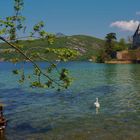 vue sur le lac d annecy