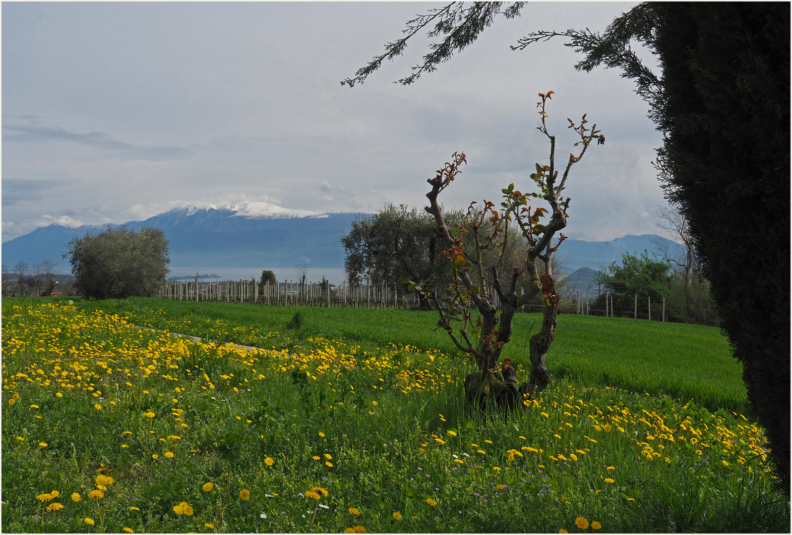 Vue sur le lac de Garde…