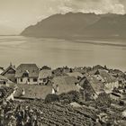 Vue sur le lac Léman