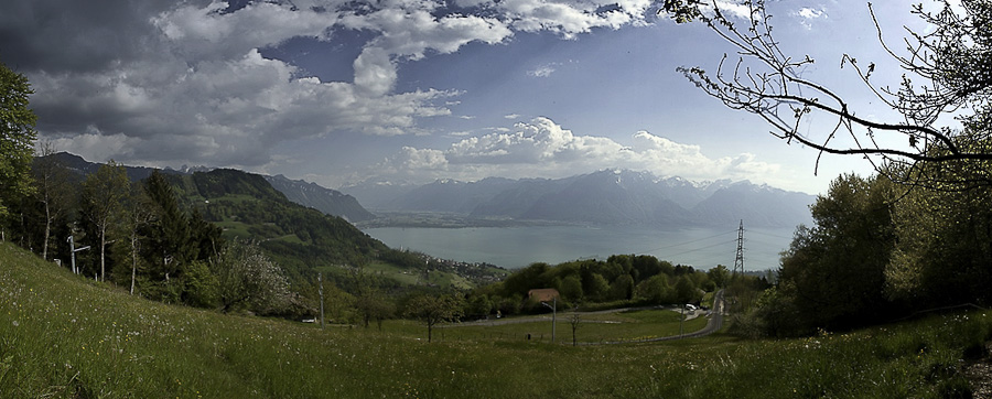 Vue sur le Léman depuis les Pléiades (Suisse)