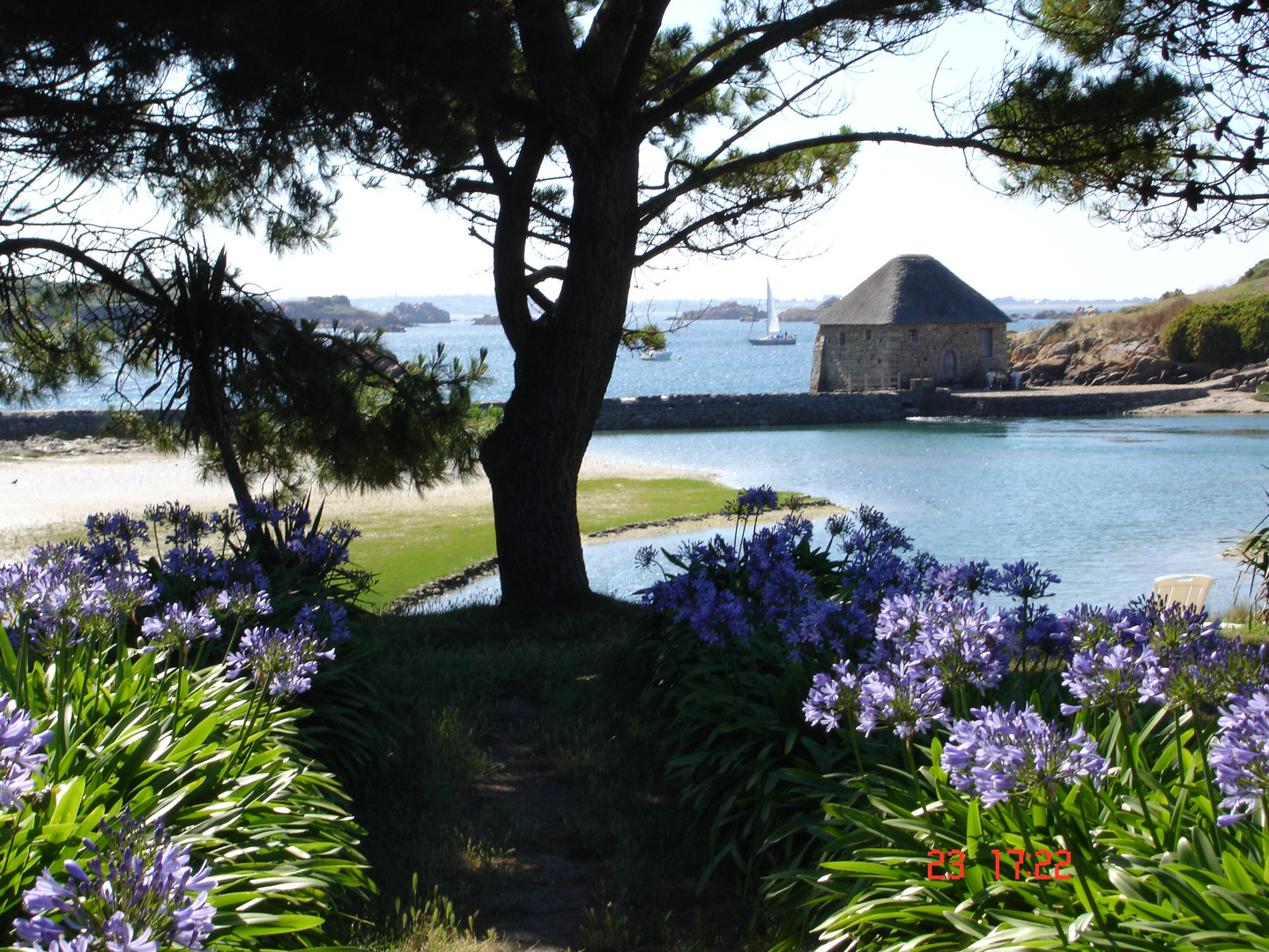 Vue sur le moulin du birlot de l'île de Bréhat