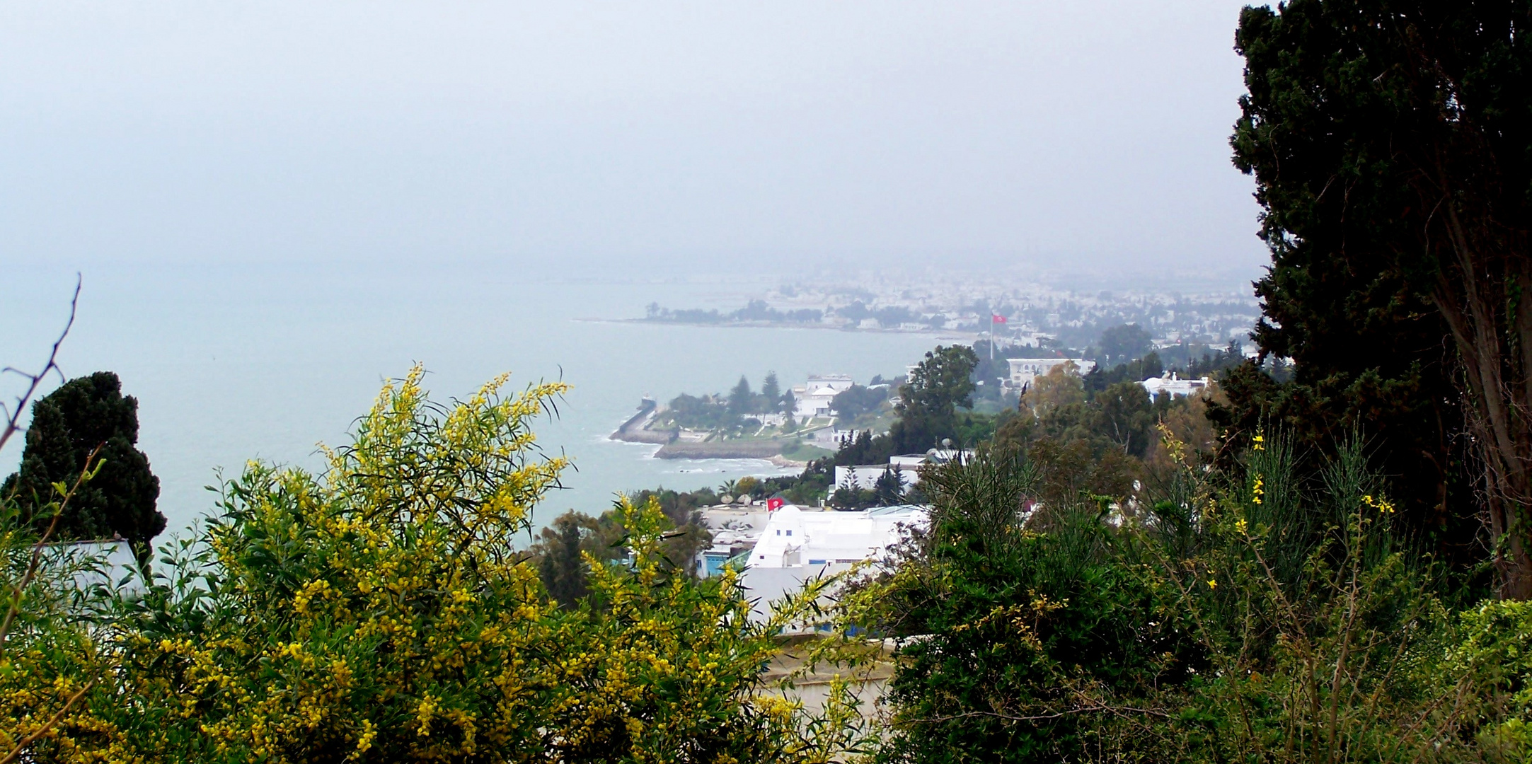 Vue sur le palais de Ben Ali, Sidi Bou Saïd