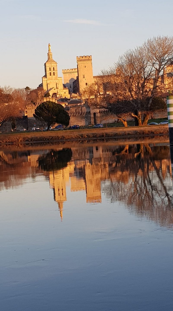 Vue sur le palais des Papes ! Prise depuis la Barthelasse  