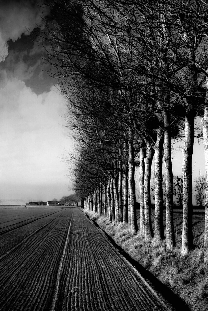 Vue sur le paysage à ........