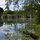 Vue sur le pont roman et la Gélise  --  Barbaste (Lot-et-Garonne)