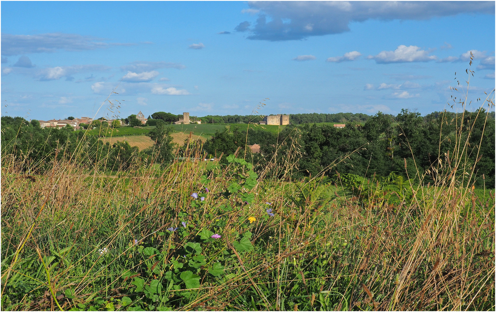 Vue sur le village de Fargues avec son Château à droite