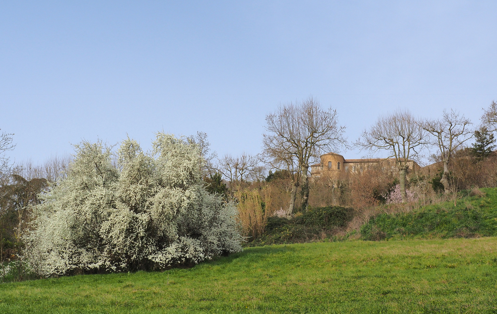 Vue sur Lectoure