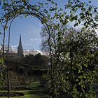 Vue sur l’Eglise de Saffron Walden à partir du jardin public.