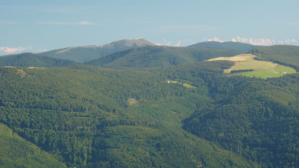 Vue sur les Alpes bernoises et le Grand Ballon depuis le Rainkopf