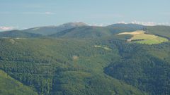 Vue sur les Alpes bernoises et le Grand Ballon depuis le Rainkopf