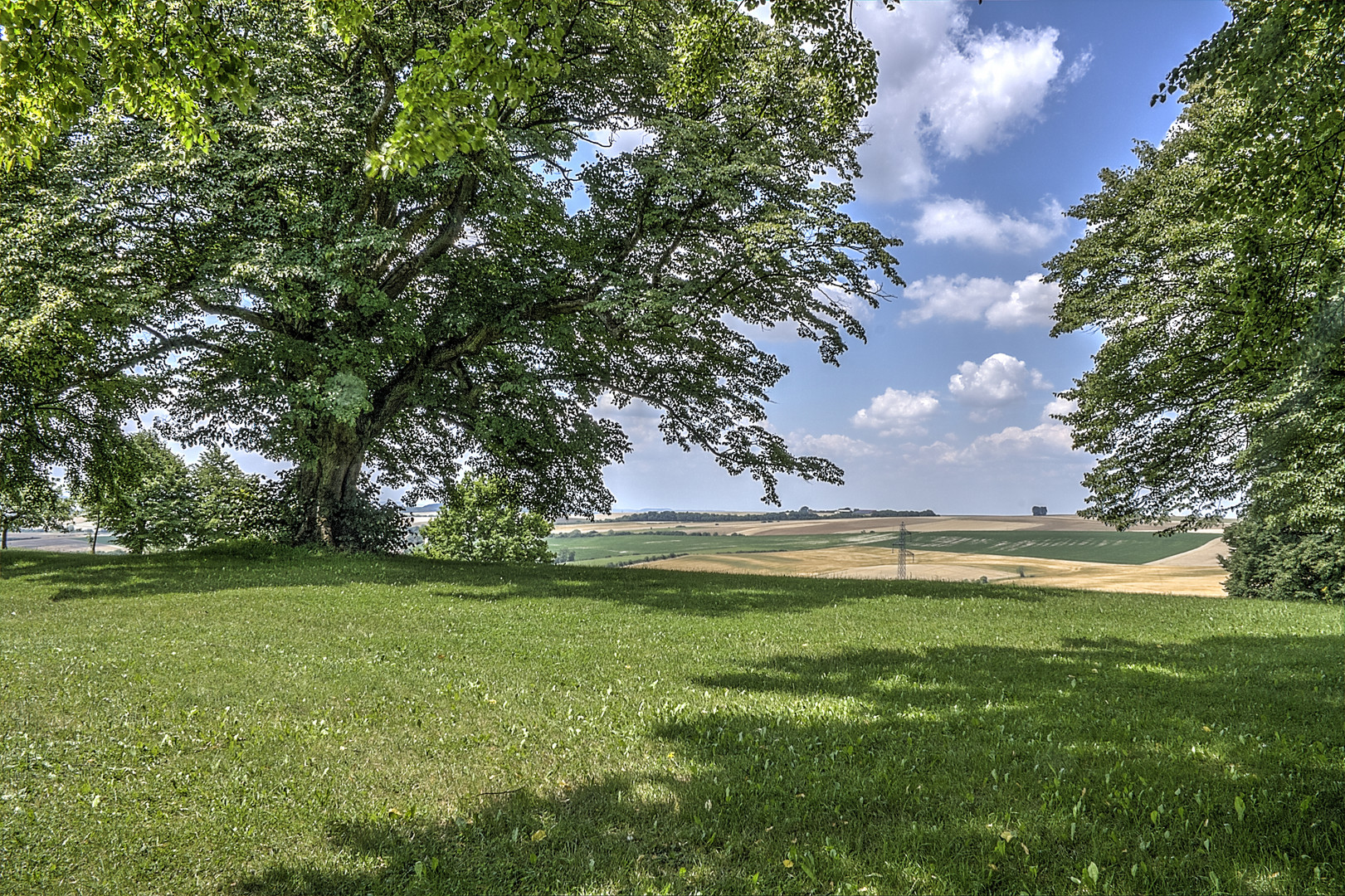 Vue sur les plaines de Moselle