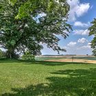 Vue sur les plaines de Moselle