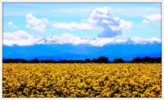 vue sur les pyrenees