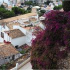 Vue sur les toits de Altea