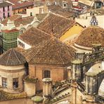  Vue sur les toits de Tortosa près de la Cathédrale Sainte-Marie