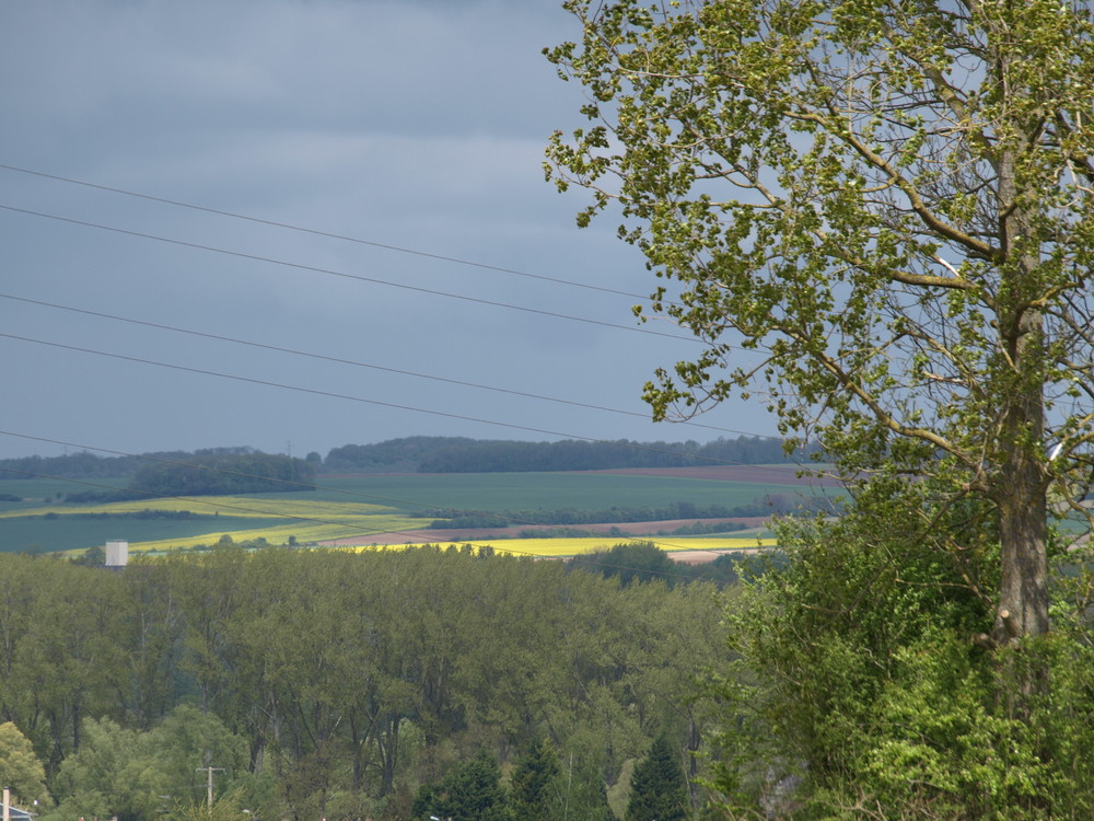 Vue sur ma campagne