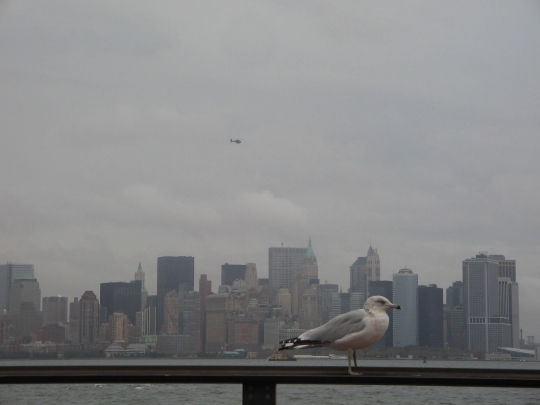 vue sur manhattan