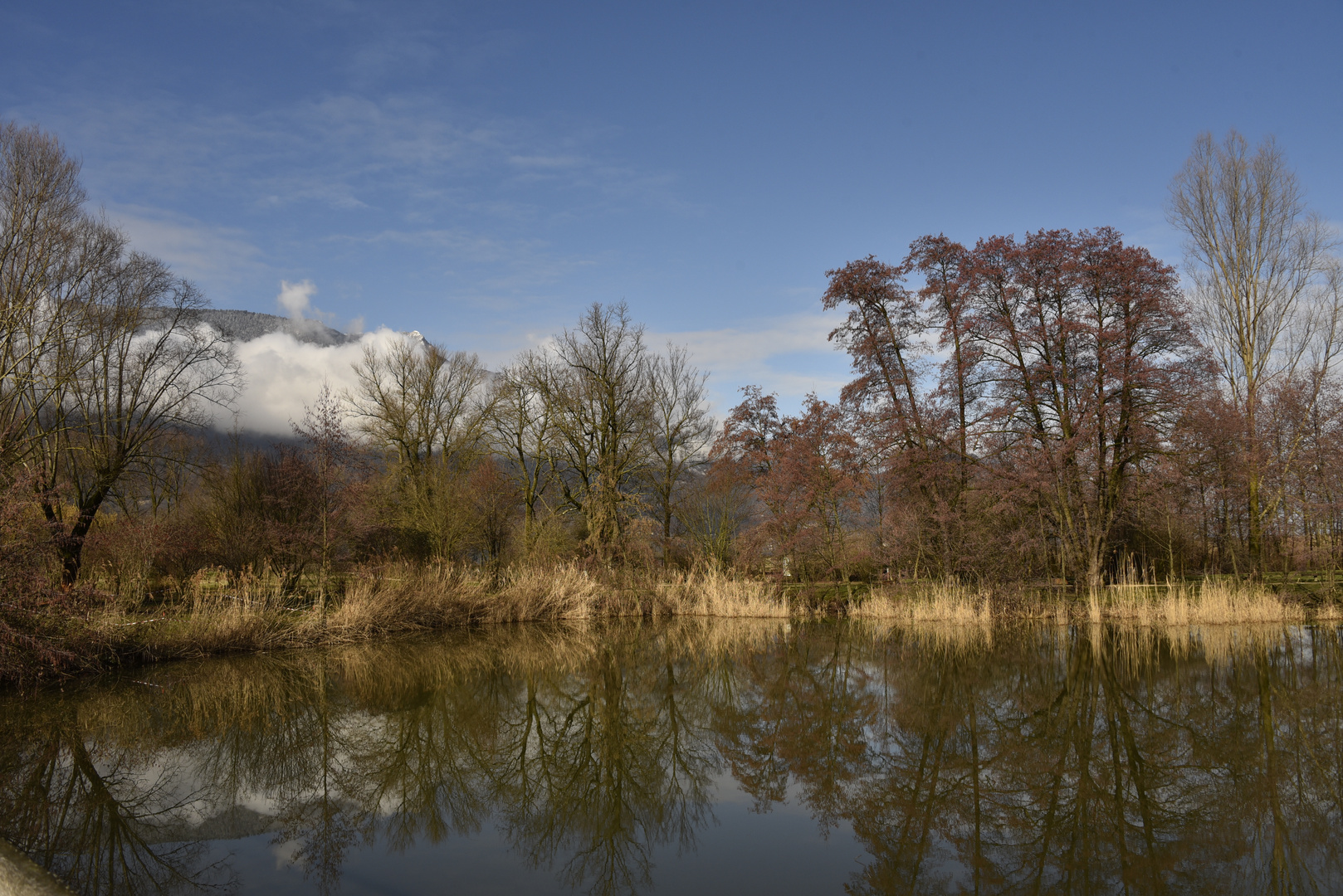 vue sur un îlot avec les reflets