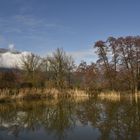 vue sur un îlot avec les reflets