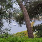 Vue vers la Rade de Villefranche depuis la Villa Ephrussi