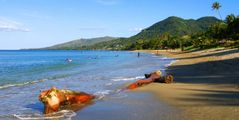 Vue vers le sud-est de la plage de Poindimié - Blick nach Südosten am Poindimié Strand