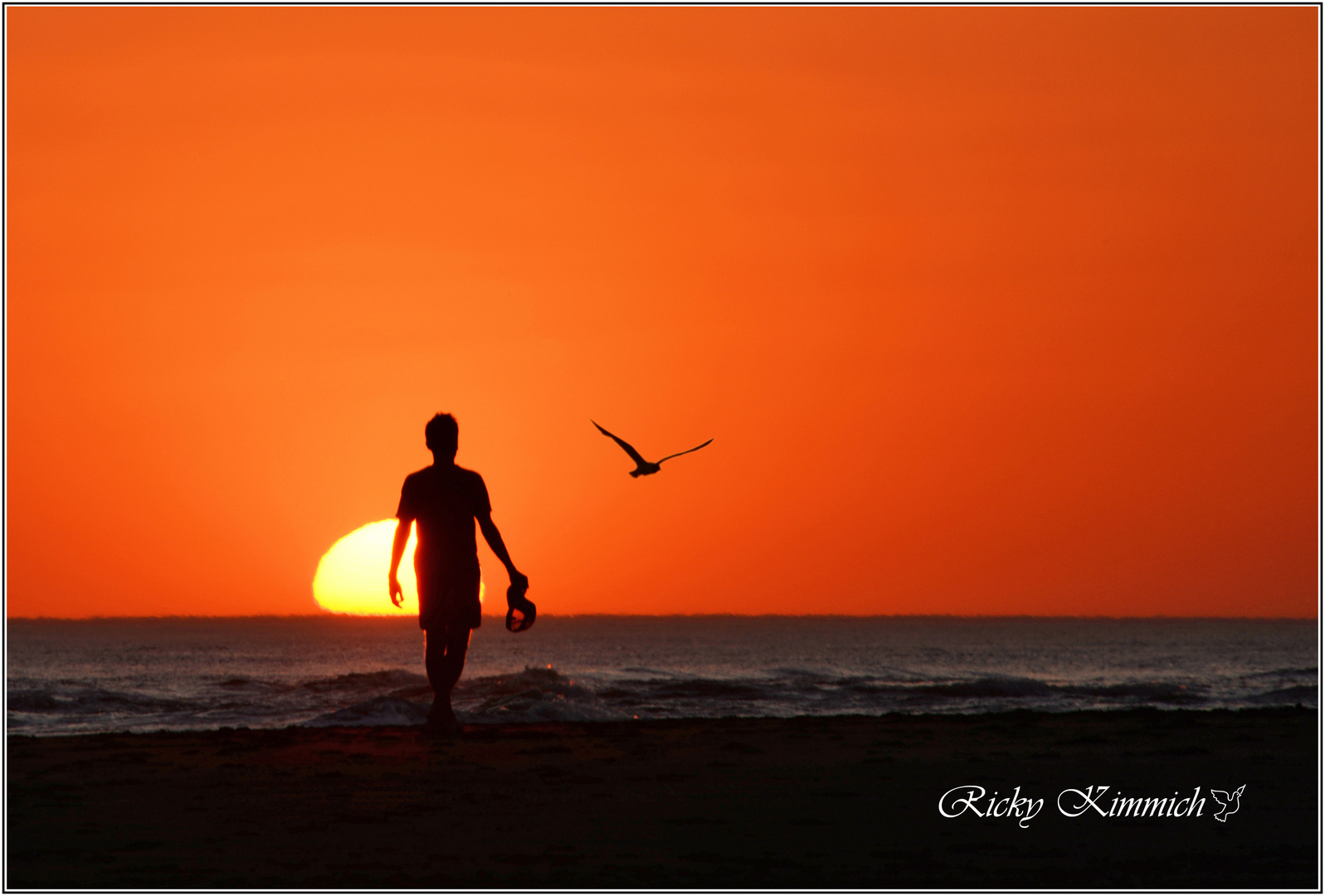 Vuelo al Sol 