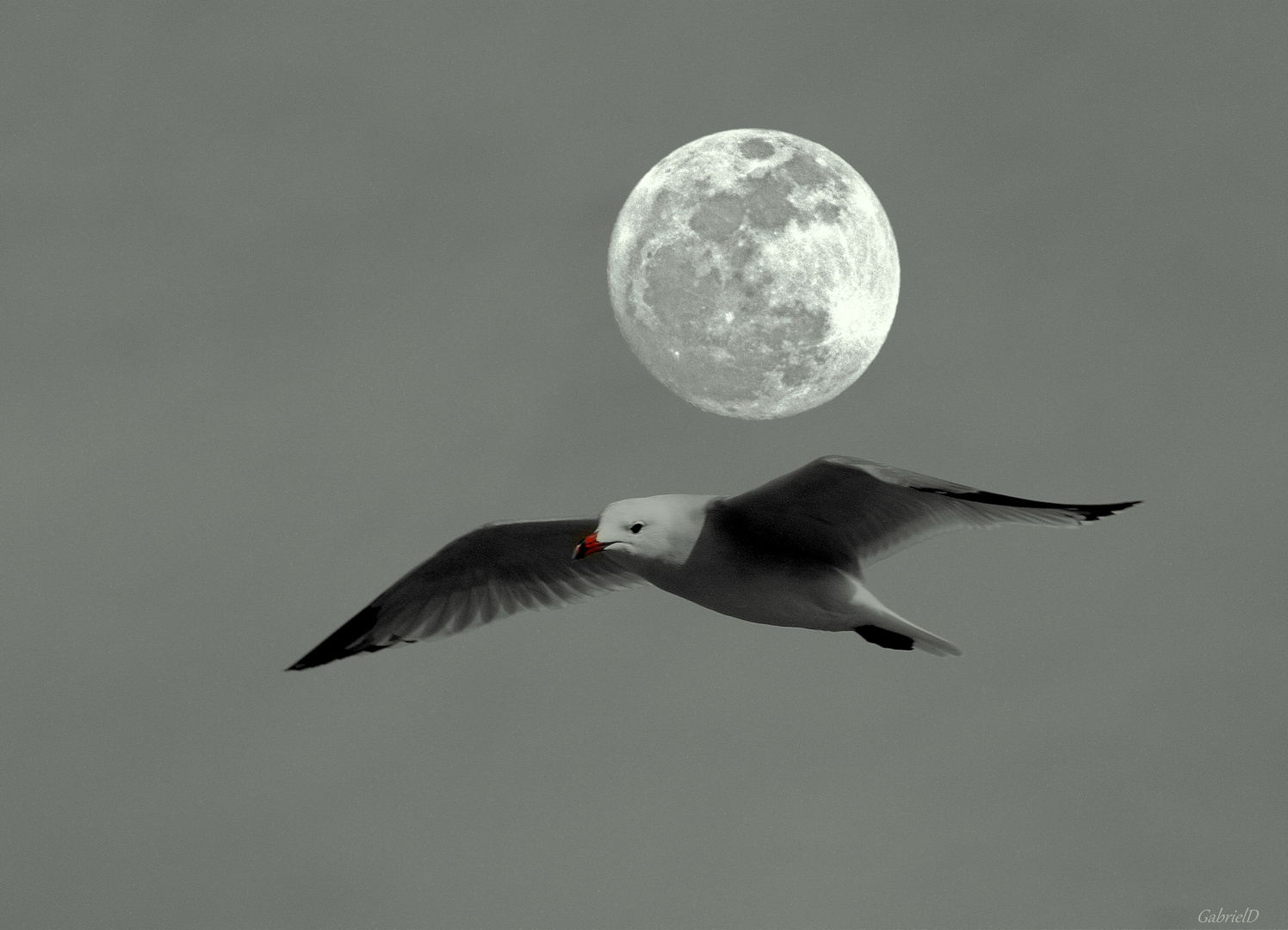 Vuelo con Embrujo