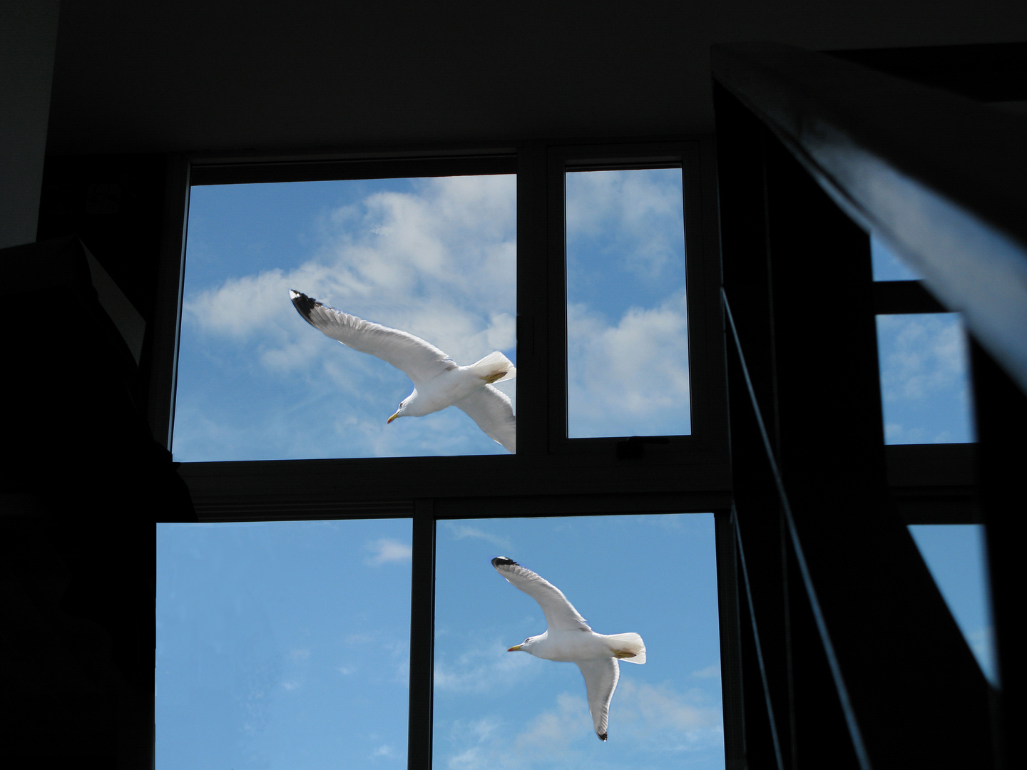 Vuelo cruzando una ventana al cielo.