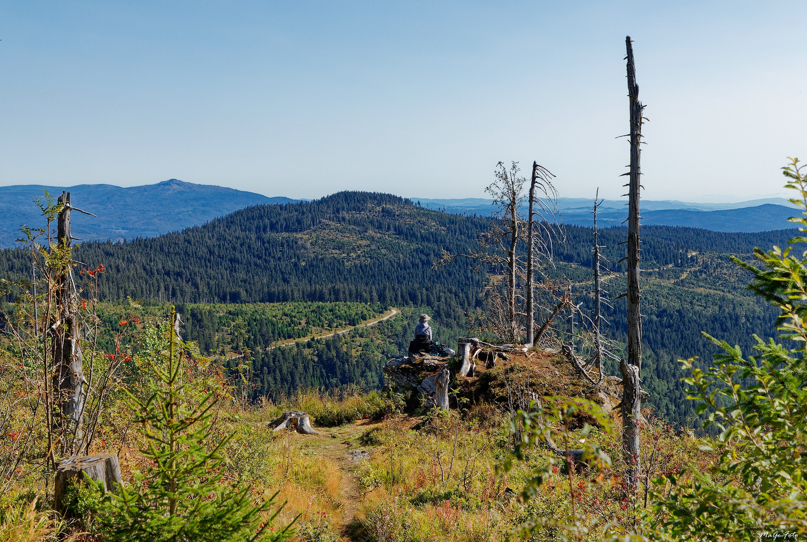 Vues sur la forêt de Bohême / Aussichten im Böhmerwald