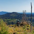 Vues sur la forêt de Bohême / Aussichten im Böhmerwald