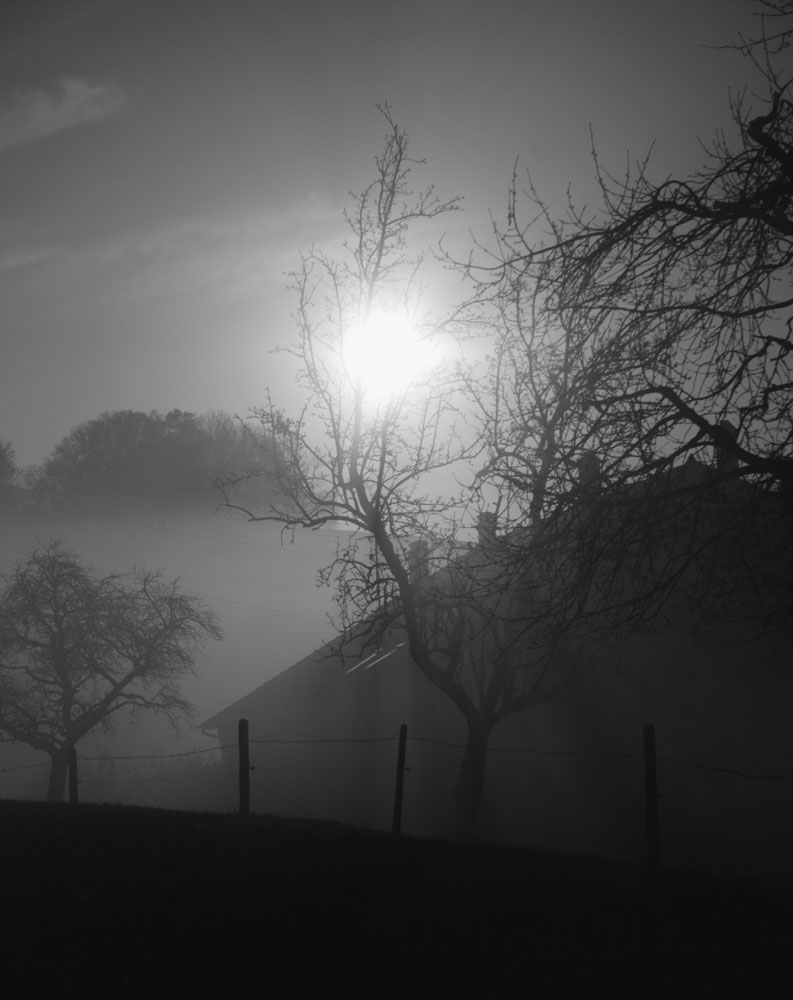 Vuisternens en OGoz