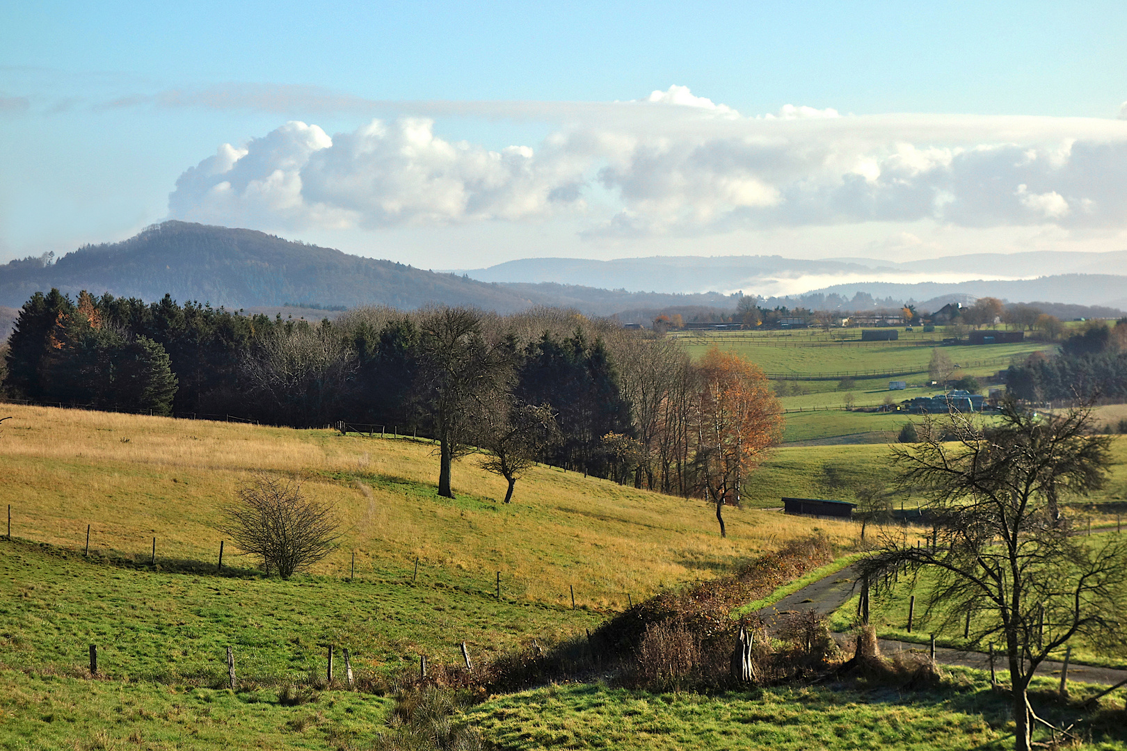 Vukanausbruch am Hochthürmen in der Eifel