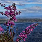 Vulcan-Landschaft in Nicaragua