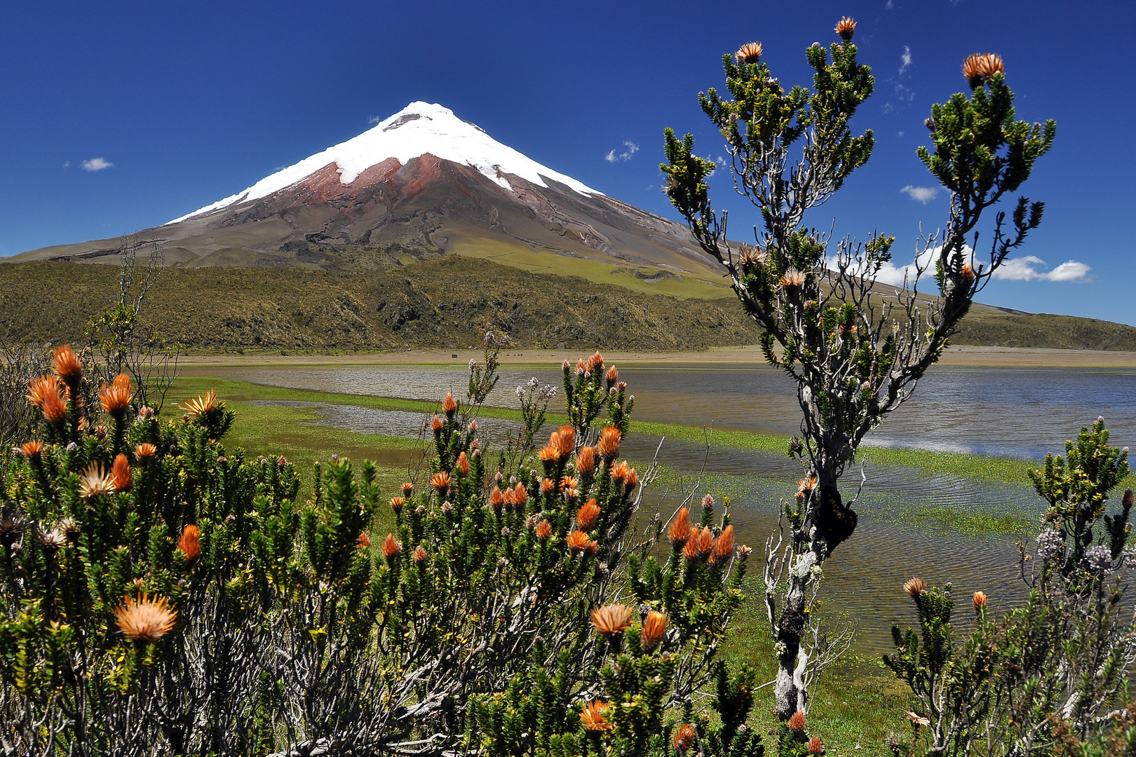 Vulkan Cotopaxi bei Quito, Ecuador