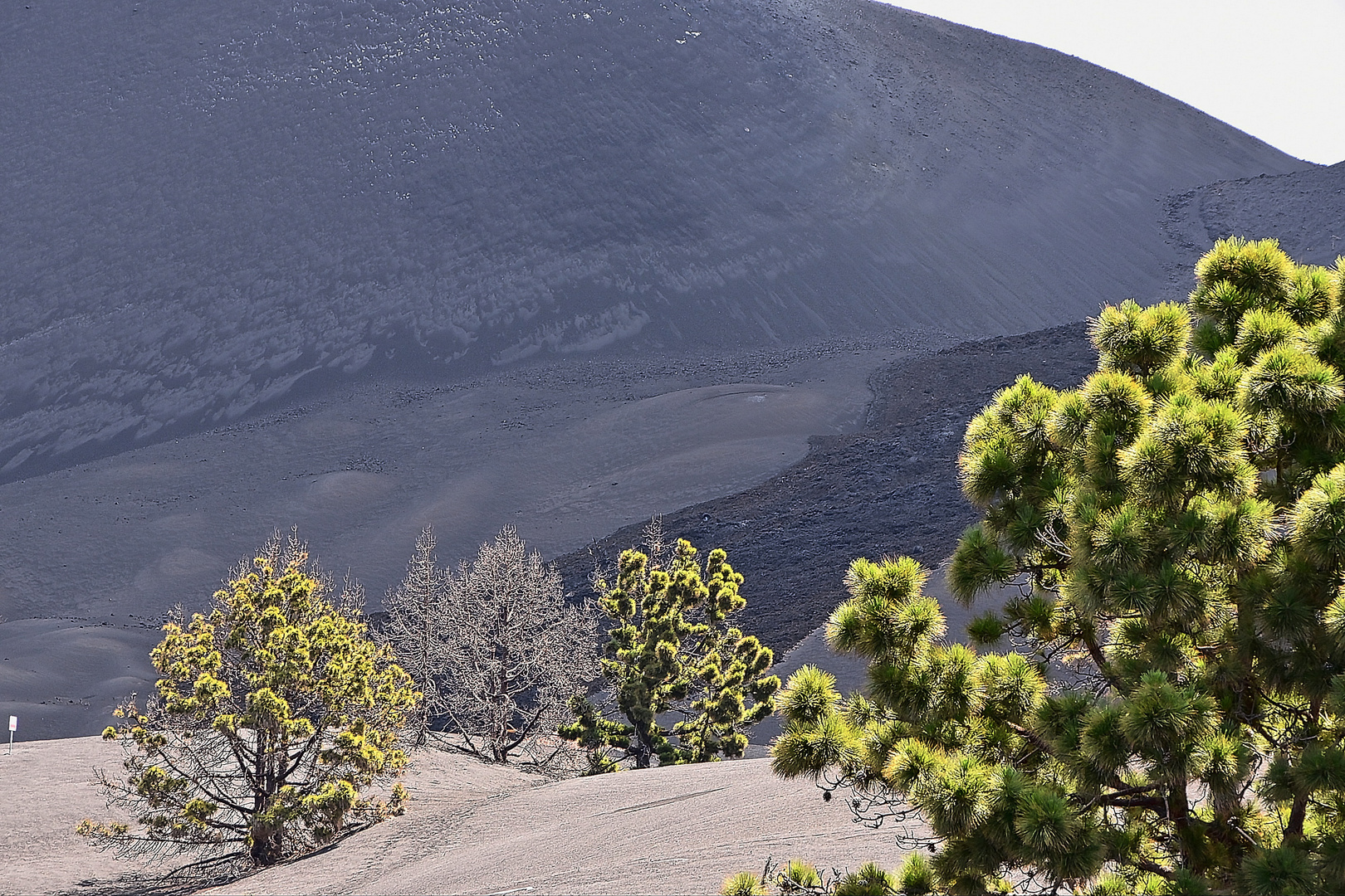 Vulkan Cumbre Vieja / La Palma