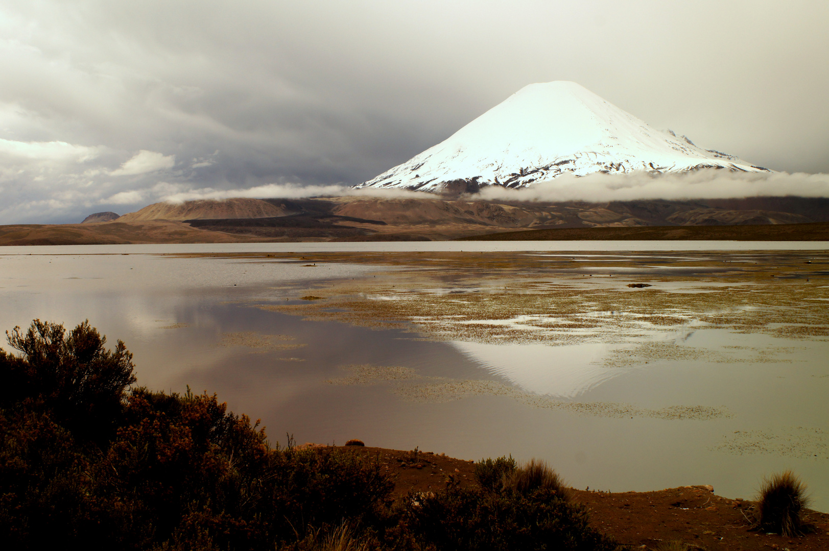 Vulkan Lauca Nationalpark Chile